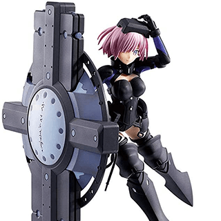 Fate Series