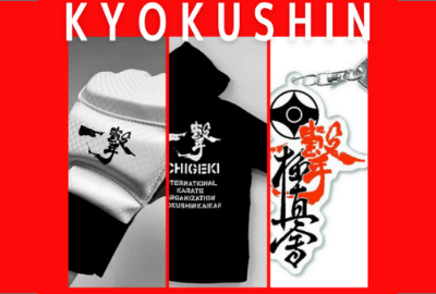 ICHIGEKI OFFICIAL SHOP