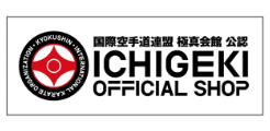 ICHIGEKI OFFICIAL SHOP