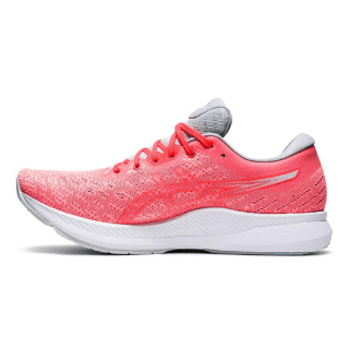 Sneakers Special Feature | Buyee