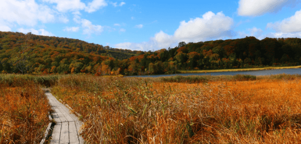 秋天：在湖面倒映美丽枫红的「八幡平」以及温泉泡汤享受