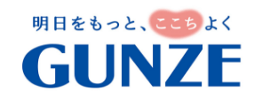 GUNZE STORE