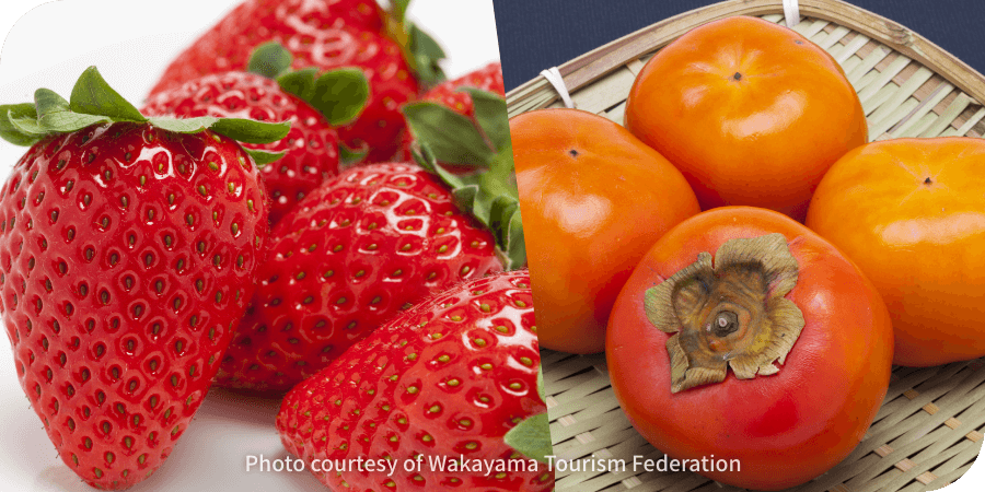 The Bountiful Fruits of Wakayama