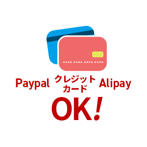 Paypal クレジットカード ALipay OK!