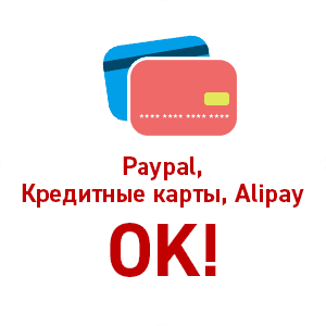 Paypal, Кредитные карты, Alipay - OK!