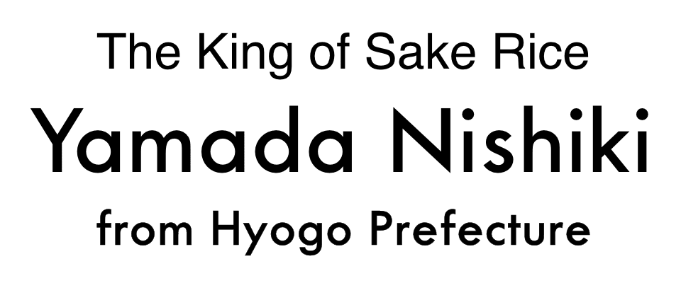 Yamada Nishiki, The King of Sake Rice.